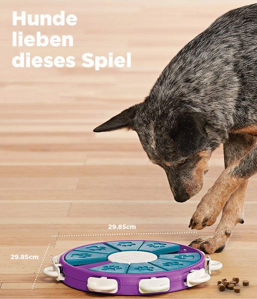 Intelligenzspielzeug für Hunde - Dog Twister-Level 3