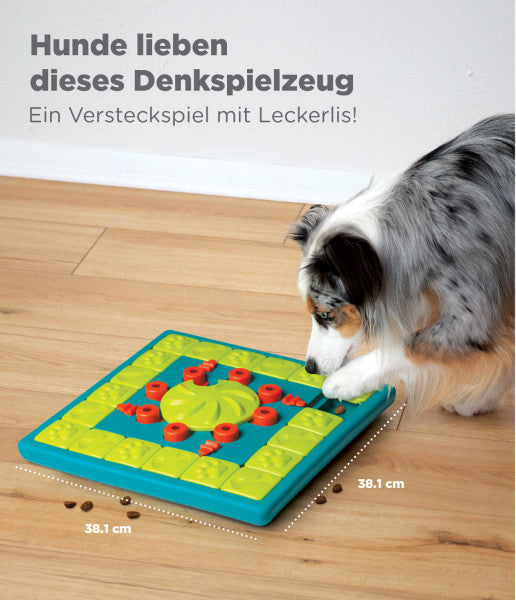 MultiPuzzle- Intelligenzspiel für Hunde / Level 4